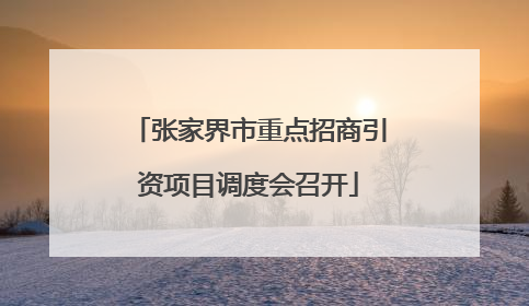 张家界市重点招商引资项目调度会召开