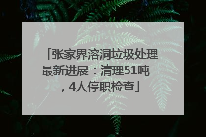 张家界溶洞垃圾处理最新进展：清理51吨，4人停职检查