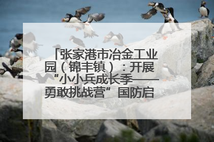 张家港市冶金工业园（锦丰镇）：开展“小小兵成长季——勇敢挑战营”国防启蒙教育活动