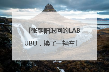 张朝阳退回的LABUBU，换了一辆车