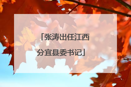 张涛出任江西分宜县委书记