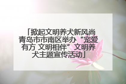 掀起文明养犬新风尚 青岛市市南区举办“宠爱有方 文明相伴”文明养犬主题宣传活动