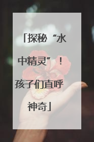 探秘“水中精灵”！孩子们直呼神奇