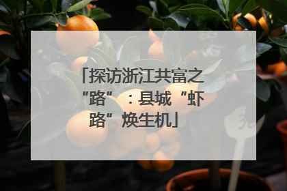 探访浙江共富之“路”：县城“虾路”焕生机