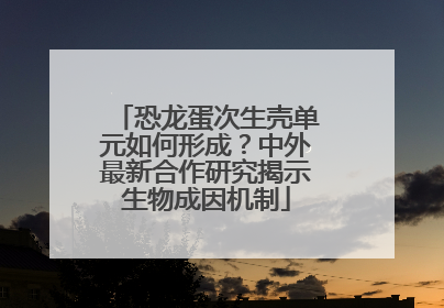 恐龙蛋次生壳单元如何形成？中外最新合作研究揭示生物成因机制
