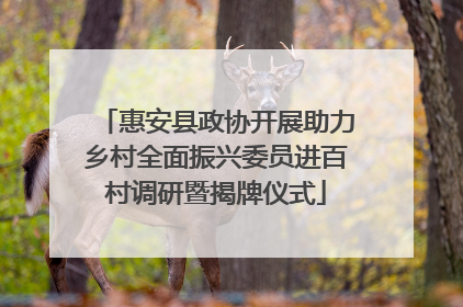 惠安县政协开展助力乡村全面振兴委员进百村调研暨揭牌仪式