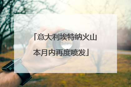 意大利埃特纳火山本月内再度喷发