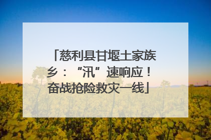 慈利县甘堰土家族乡：“汛”速响应！奋战抢险救灾一线