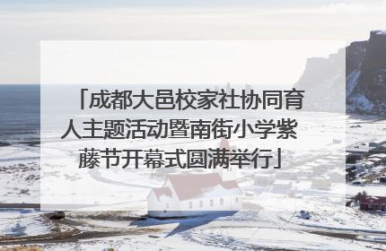 成都大邑校家社协同育人主题活动暨南街小学紫藤节开幕式圆满举行