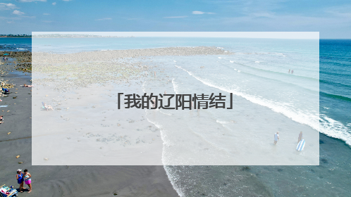 我的辽阳情结