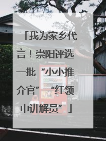 我为家乡代言！崇阳评选一批“小小推介官”“红领巾讲解员”