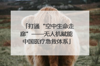 打通“空中生命走廊”——无人机赋能中国医疗急救体系