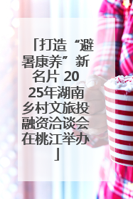打造“避暑康养”新名片 2025年湖南乡村文旅投融资洽谈会在桃江举办