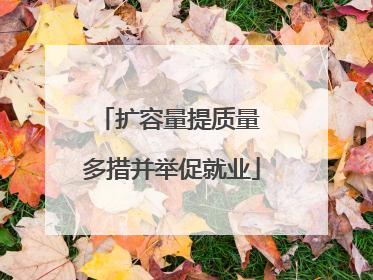 扩容量提质量 多措并举促就业