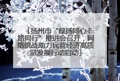 扬州市“绿扬同心·E路同行”推进会召开，网络统战助力民营经济高质量发展行动启动