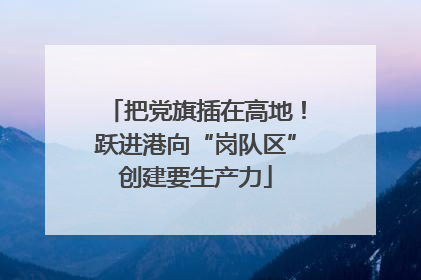 把党旗插在高地！跃进港向“岗队区”创建要生产力