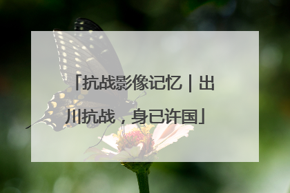 抗战影像记忆｜出川抗战，身已许国