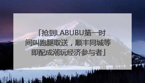 抢到LABUBU第一时间叫跑腿取送，顺丰同城等即配成潮玩经济参与者
