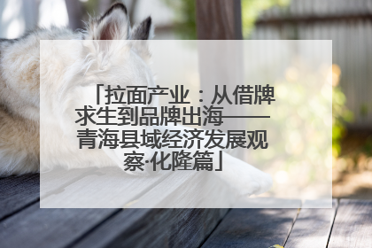 拉面产业：从借牌求生到品牌出海——青海县域经济发展观察·化隆篇