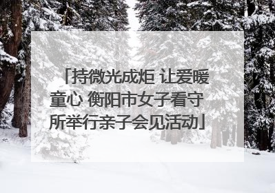 持微光成炬 让爱暖童心 衡阳市女子看守所举行亲子会见活动