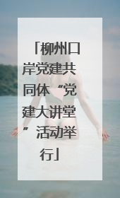 柳州口岸党建共同体“党建大讲堂”活动举行