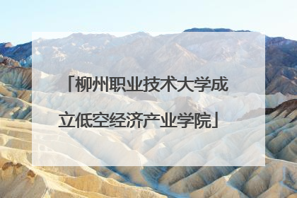 柳州职业技术大学成立低空经济产业学院