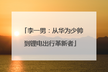 李一男：从华为少帅到锂电出行革新者