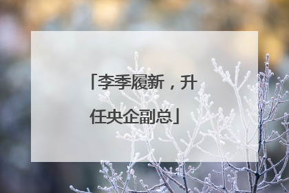李季履新，升任央企副总