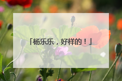 杨乐乐，好样的！