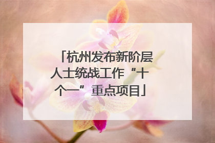 杭州发布新阶层人士统战工作“十个一”重点项目