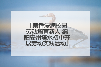 果香浸润校园，劳动培育新人 绵阳安州塔水初中开展劳动实践活动