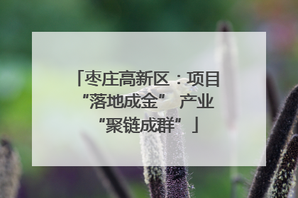 枣庄高新区：项目“落地成金” 产业“聚链成群”