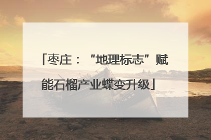 枣庄：“地理标志”赋能石榴产业蝶变升级
