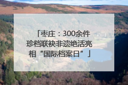 枣庄：300余件珍档联袂非遗绝活亮相“国际档案日”