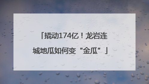 撬动174亿！龙岩连城地瓜如何变“金瓜”