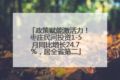 政策赋能激活力！枣庄民间投资1-5月同比增长24.7%，居全省第二