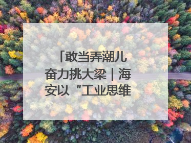 敢当弄潮儿 奋力挑大梁｜海安以“工业思维”拓宽共富路