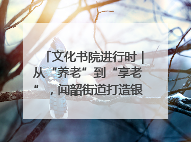文化书院进行时｜从“养老”到“享老”，闻韶街道打造银龄幸福新图景