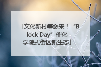 文化新村等您来！“Block Day”催化学院式街区新生态