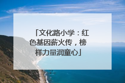 文化路小学：红色基因薪火传，榜样力量润童心