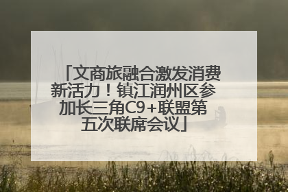 文商旅融合激发消费新活力！镇江润州区参加长三角C9+联盟第五次联席会议
