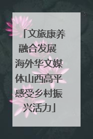 文旅康养融合发展 海外华文媒体山西高平感受乡村振兴活力