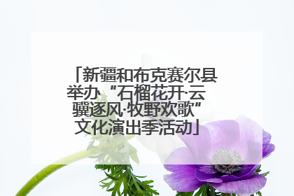 新疆和布克赛尔县举办“石榴花开·云骥逐风·牧野欢歌”文化演出季活动