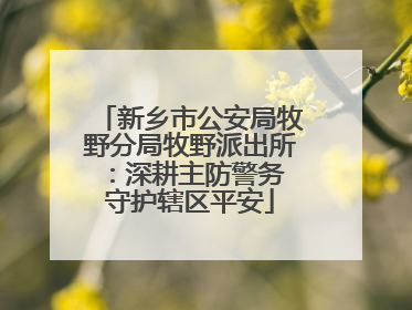新乡市公安局牧野分局牧野派出所：深耕主防警务 守护辖区平安