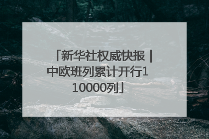 新华社权威快报｜中欧班列累计开行110000列