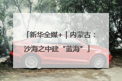 新华全媒+｜内蒙古：沙海之中建“蓝海”