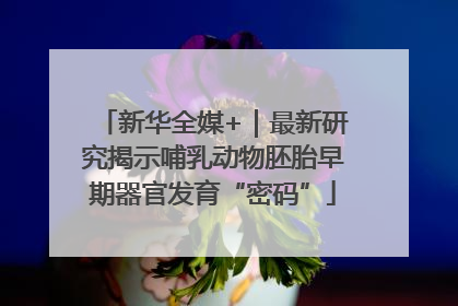新华全媒+｜最新研究揭示哺乳动物胚胎早期器官发育“密码”