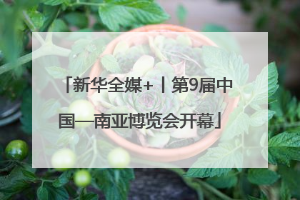 新华全媒+丨第9届中国—南亚博览会开幕