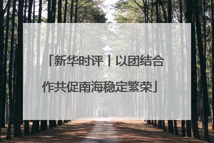 新华时评丨以团结合作共促南海稳定繁荣