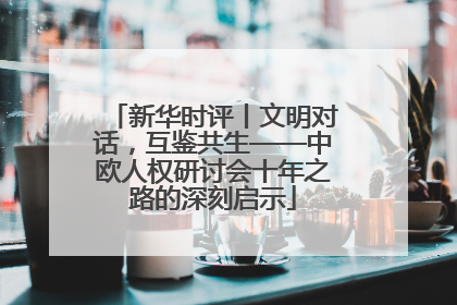 新华时评丨文明对话，互鉴共生——中欧人权研讨会十年之路的深刻启示